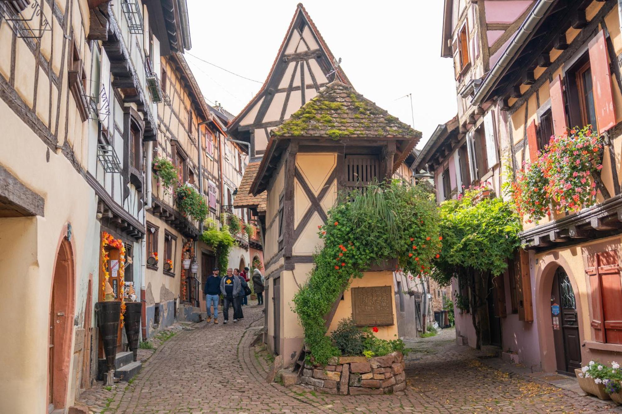Chambre Rose Des Vents Eguisheim Exteriör bild