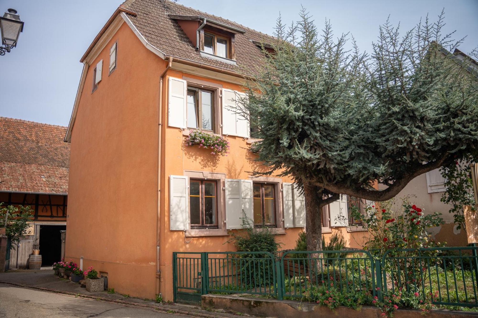 Chambre Rose Des Vents Eguisheim Exteriör bild